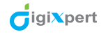 Digiexpert Internet Marketing Service Pune